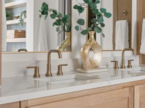 1770  Coopers Hawk Drive , Arlington Texas 76005