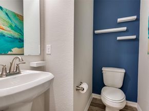 1247  Jones Trail , Lewisville Texas 75077