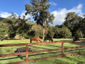 16108 Old Guejito Grade Rd Road, Escondido CA 92027