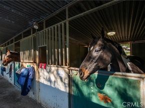 22050 Tulsa, Chatsworth (los Angeles) CA 91311