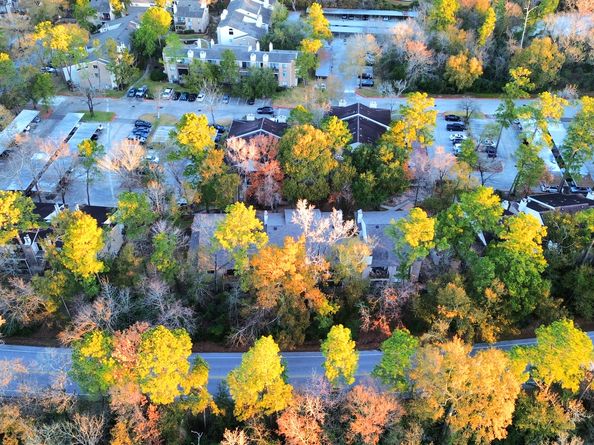 3500 Tangle Brush Drive 186, The Woodlands TX 77381