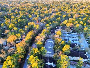 3500 Tangle Brush Drive 186, The Woodlands TX 77381