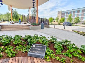 3130 SW Walnut Bend Lane SW 409, Houston TX 77042