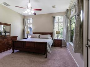 10 Owls Cove Place, The Woodlands TX 77382