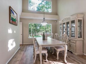 10 Owls Cove Place, The Woodlands TX 77382