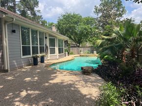26 Merit Woods Place, The Woodlands TX 77382