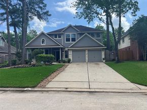 26 Merit Woods Place, The Woodlands TX 77382