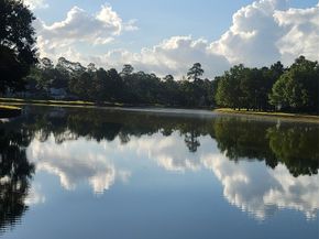 5303 Beaver Lodge Drive, Houston TX 77345