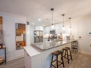 4 River Birch Lane, The Woodlands TX 77380