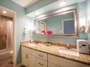4 River Birch Lane, The Woodlands TX 77380
