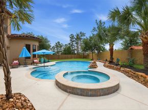 14 Post Shadow Estate Court, Spring TX 77389