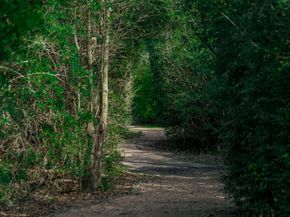 16122 Golden Manor Lane, Cypress TX 77429