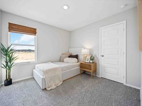 11917 Mulberry Vine Lane, Houston TX 77048