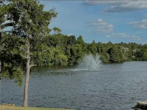 1111 Kingbriar Circle, Spring TX 77373