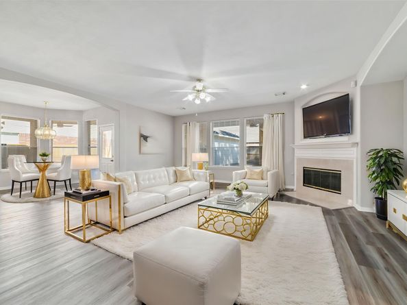 16602 Blue Vista Drive, Houston TX 77095