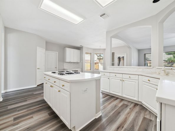 16602 Blue Vista Drive, Houston TX 77095