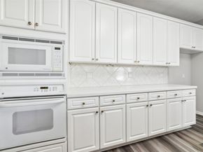 16602 Blue Vista Drive, Houston TX 77095