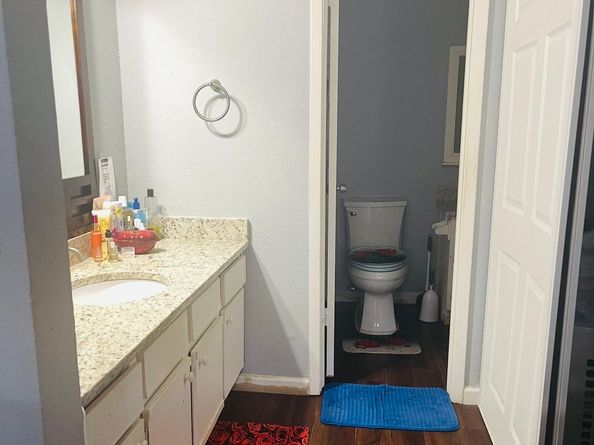 6239 Ludington Drive 22928, Houston TX 77035