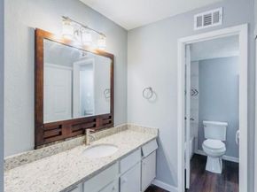 6239 Ludington Drive 22928, Houston TX 77035