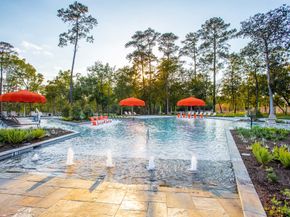 450 Lake Day Drive, Conroe TX 77304