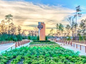 450 Lake Day Drive, Conroe TX 77304