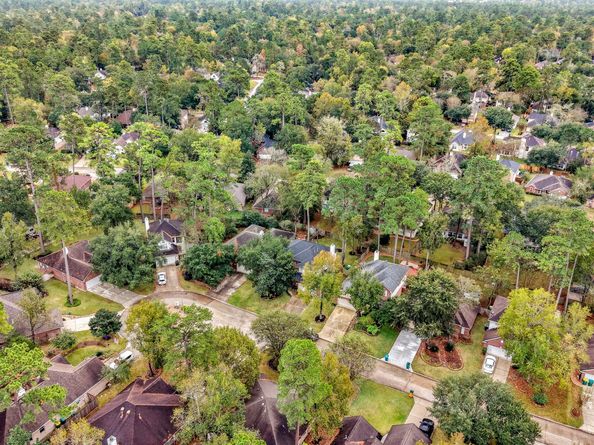 19 Almond Branch Place, Spring TX 77382