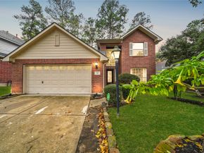 19 Almond Branch Place, Spring TX 77382