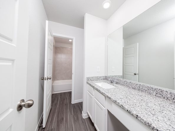 16905 Hazelnut Drive, Conroe TX 77302