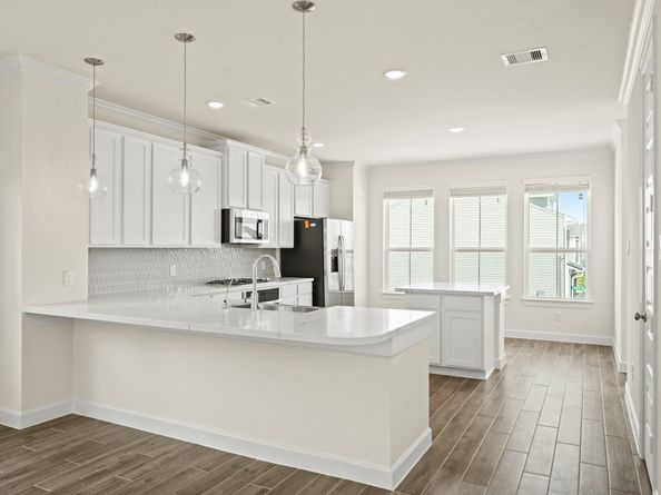 3318 Vine Terrace Trace, Houston TX 77047