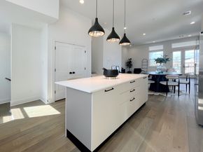 303P Marcella Street, Houston TX 77091
