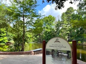 15 Nightwind Place, The Woodlands TX 77381