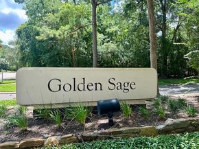 15 Nightwind Place, The Woodlands TX 77381