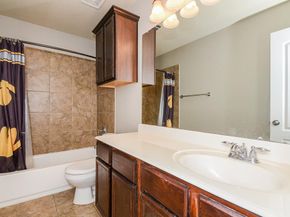 18426 N Settlers Shore Drive, Cypress TX 77433