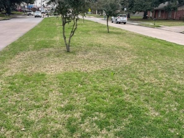 8907 S Dairy Ashford Road, Houston TX 77099