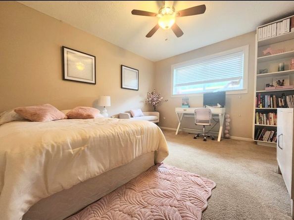 11303 Olympia Drive, Houston TX 77077