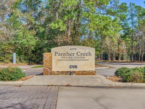 94 S Magnolia Pond Place, The Woodlands TX 77381