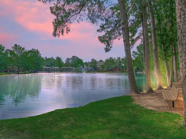 94 S Magnolia Pond Place, The Woodlands TX 77381