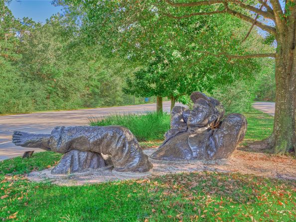 94 S Magnolia Pond Place, The Woodlands TX 77381
