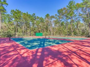 94 S Magnolia Pond Place, The Woodlands TX 77381