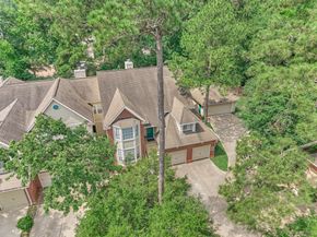 94 S Magnolia Pond Place, The Woodlands TX 77381