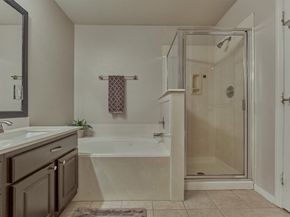 94 S Magnolia Pond Place, The Woodlands TX 77381