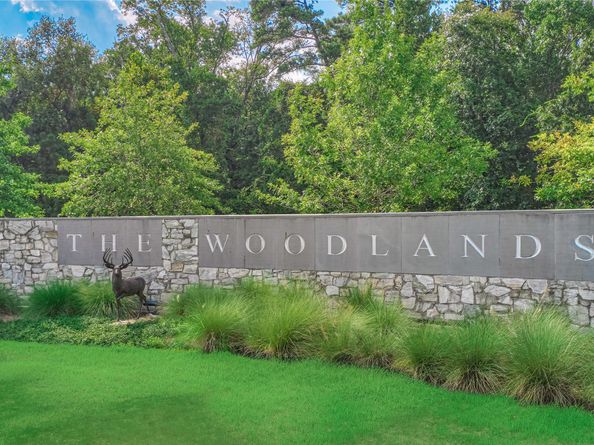 2645 Ivy Wood Lane, Conroe TX 77385