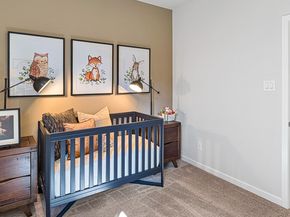 1115 Sky Rocket Lane, Tomball TX 77375