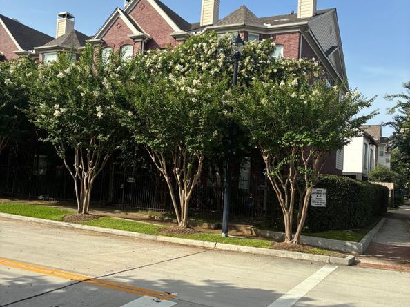 2303 Jackson Street A, Houston TX 77004