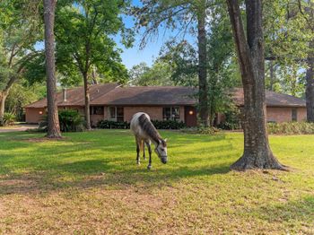 9809 Neuens Road