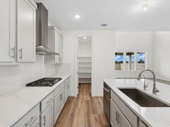 308 Amista DR, Liberty Hill TX 78642