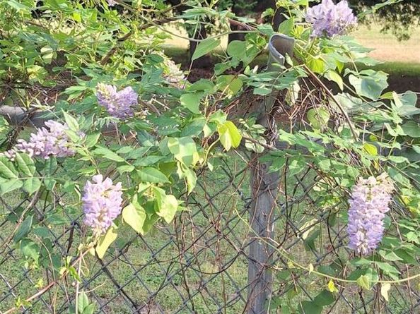 2201 mission hill CIR, Austin TX 78741