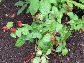 2201 mission hill CIR, Austin TX 78741