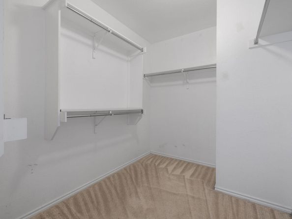 917 Melted Candle CV, Pflugerville TX 78660