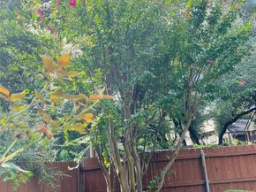 10902 Sierra Oaks, Austin TX 78759